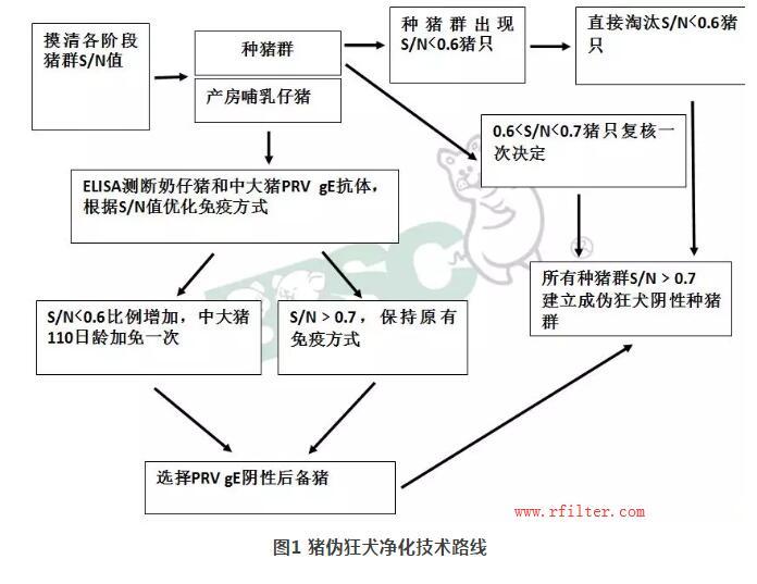規(guī)模豬場如何凈化控制疫病？空氣過濾系統(tǒng)如何阻擋藍(lán)耳病毒株呢？
